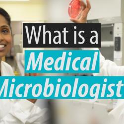 What is a Medical Microbiologist? Thumbnail
