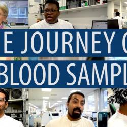 The journey of a blood sample #DiscoverPathology Thumbnail