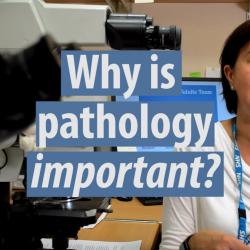 Why pathology matters, what it is and advice to students Thumbnail