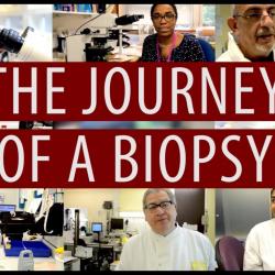 The journey of a biopsy #DiscoverPathology Thumbnail